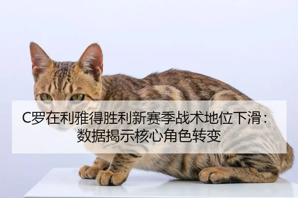 C罗在利雅得胜利新赛季战术地位下滑：数据揭示核心角色转变
